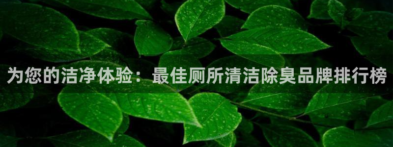 kb88凯时会员登录：为您的洁净体验：最佳厕所清洁除臭品