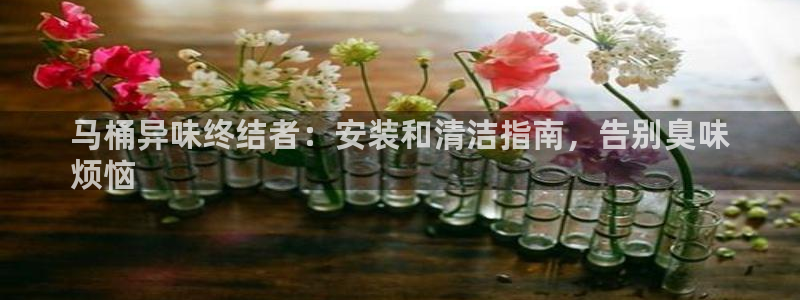 尊龙凯时麻将胡了：马桶异味终结者：安装和清洁指南，告别臭