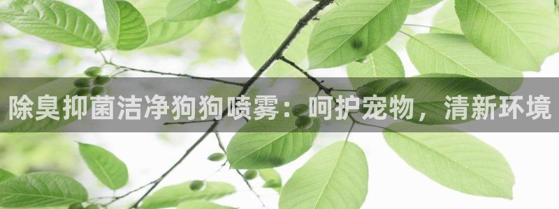 凯时官网：除臭抑菌洁净狗狗喷雾：呵护宠物，清新环境